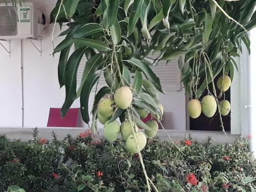 Studio Les Moulins Saint Fran�ois