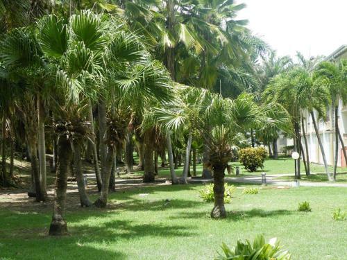 Apartamento R�sidence Anse Des Rochers