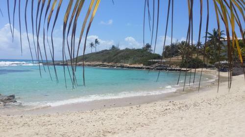 Apartamento Le Rayon De Soleil