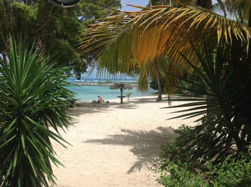Apartamento Appartement Vue Mer Anse Des Rochers