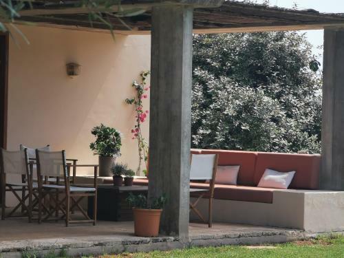 Cucurutxa