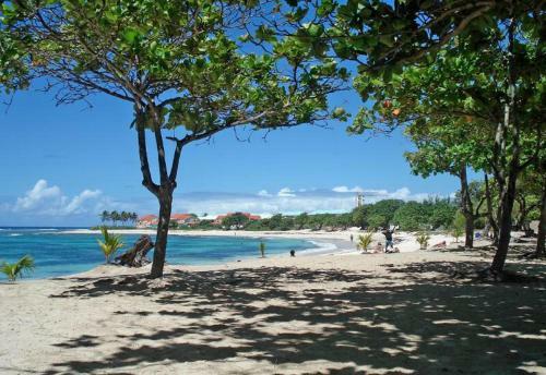 Apartamento St Fran�ois Manganao
