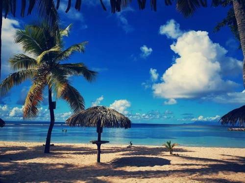 Apartamento Papillon Des Iles