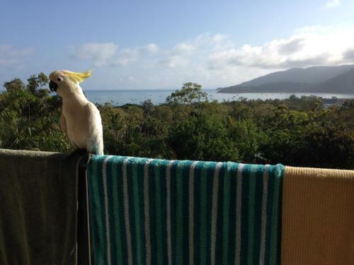 Island View Bed And Breakfast
