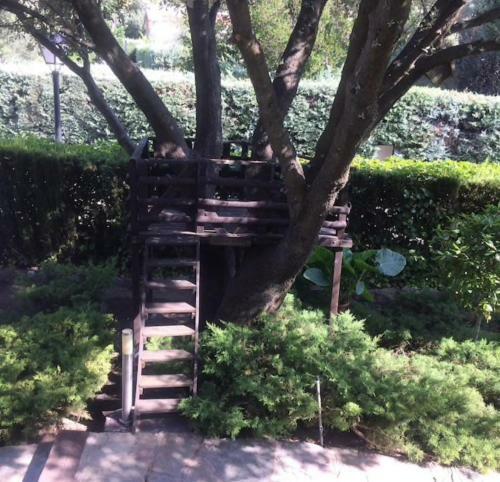 Apartamento La Casa Del �rbol