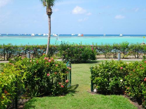 Apartamento Savannah Guadeloupe