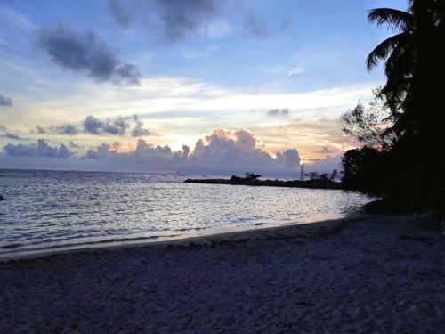 Apartamento R�sidence Anse Des Rochers