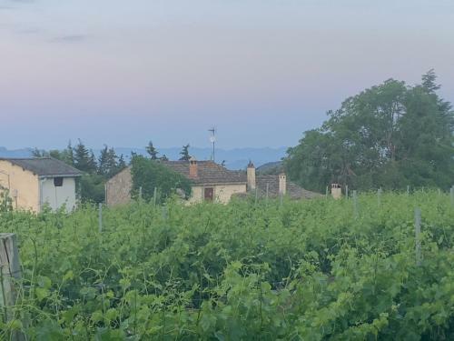 Villa Casa Rural Somnis Del Montsant