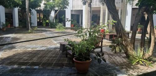 Apartamento Haven Paradise