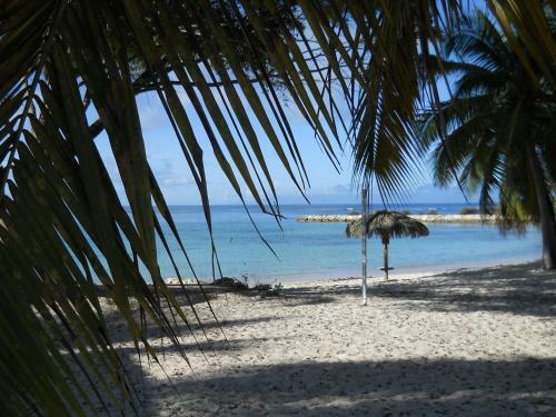 Apartamento Le Tiar� - Anse Des Rochers