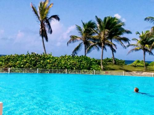 Apartamento Vue Mer Haut de Villa Anse Des Rochers
