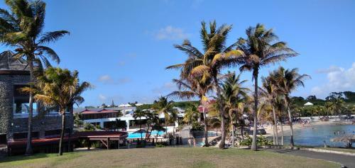 Apartamento Cannelle Cara�bes Studio Grande Piscine Et Plage