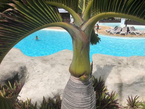 Apartamento Studio Maracudja R�sidence Manganao