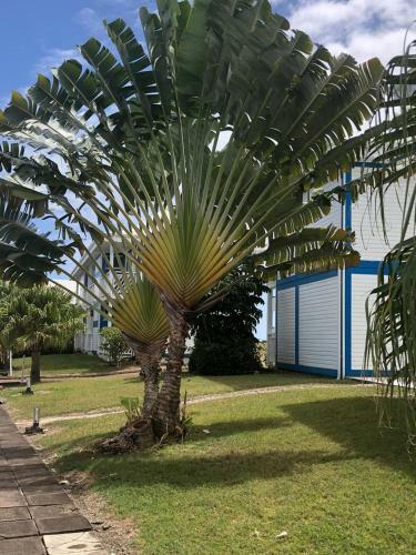 Apartamento Studio Maracudja R�sidence Manganao