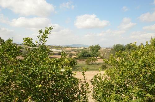Finca Alegra