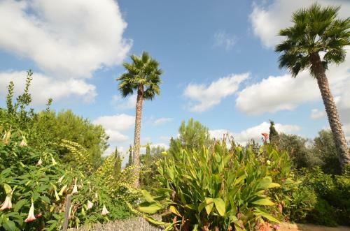 Finca Alegra