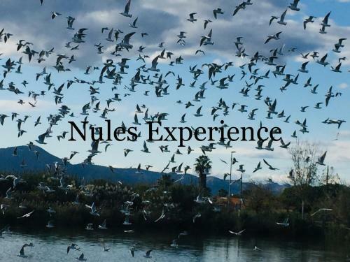 Apartamento Nules Experience