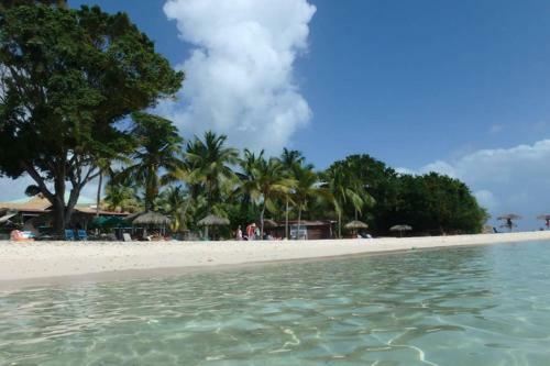 Apartamento Studio Vue Mer Paradisiaque