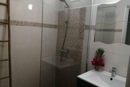 Apartamento New Studio Massouly Vue Jardin Anse Des Rochers