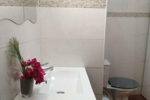 Apartamento New Studio Massouly Vue Jardin Anse Des Rochers