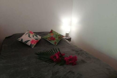 Apartamento New Studio Massouly Vue Jardin Anse Des Rochers