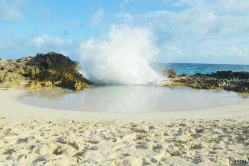 Apartamento Grand Studio Id�alement Situ�, Jardin Et Piscine