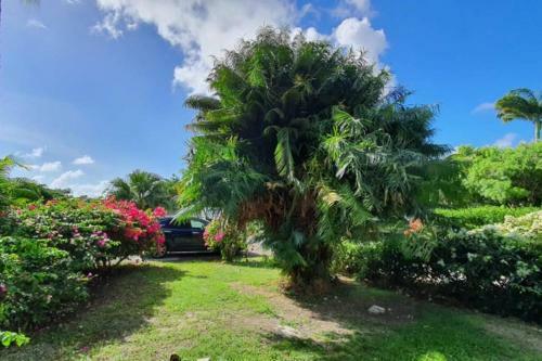 Apartamento Grand Studio Id�alement Situ�, Jardin Et Piscine