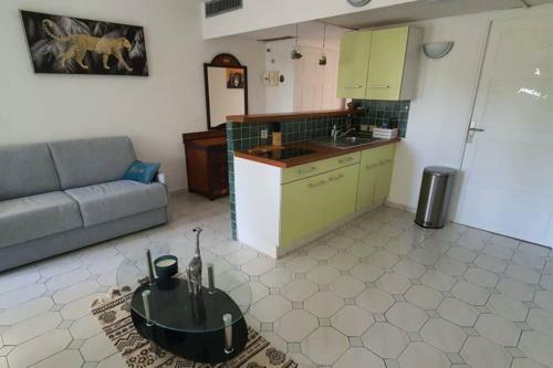 Apartamento Grand Studio Id�alement Situ�, Jardin Et Piscine