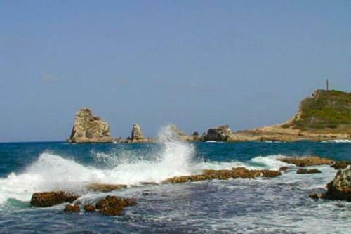Apartamento Grand Studio Id�alement Situ�, Jardin Et Piscine