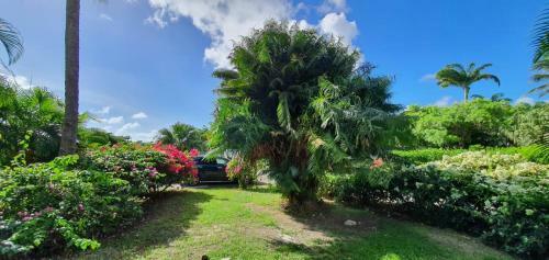 Apartamento Grand Studio Id�alement Situ�, Jardin Et Piscine