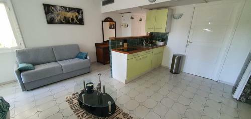 Apartamento Grand Studio Id�alement Situ�, Jardin Et Piscine