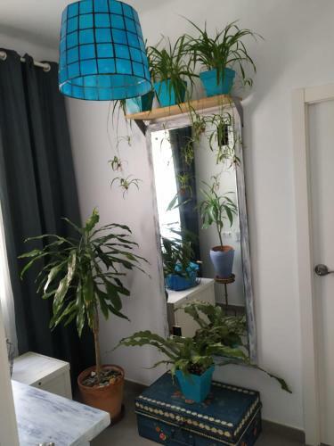 Boutique Beach Apartment Matar�