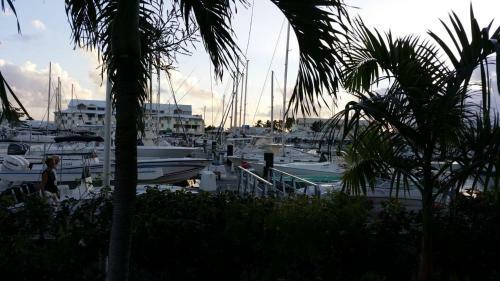 Apartamento T2-r�ve Des Cara�bes