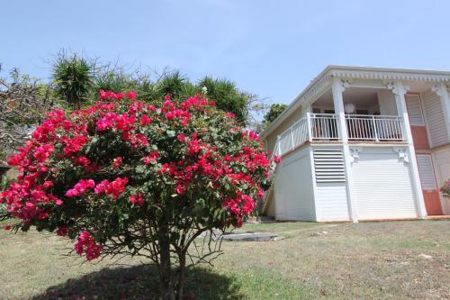 Apartamento Studio Passion Des Iles Anse Des Rochers Villa Hibiscus