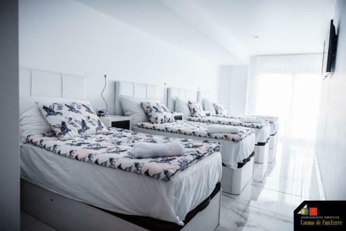 Hostel Camino De Finisterre