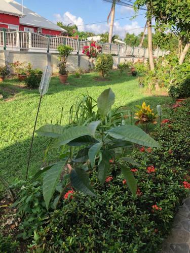 Villa Papillon