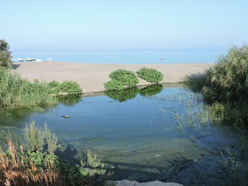 Apartamento Urbanizaci�n Manilva Beach 21