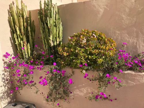 Apartment Duquesa Fairways/manilva, Spain