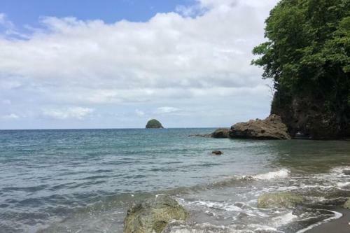 Apartamento La Perle Marine