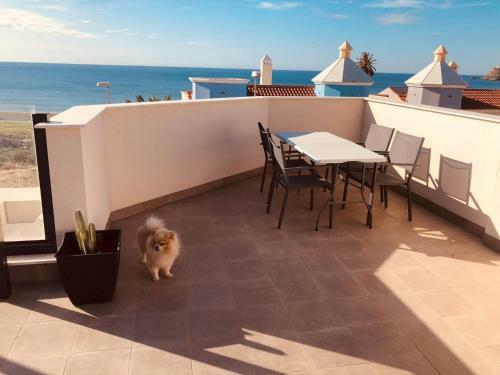 Maravilloso Duplex Con Vistas Al Mar