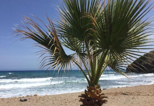Casa Montana Near The Coast