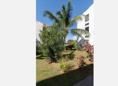 Apartamento Agr�able Cocon � La Marina De La Pointe Du Bout