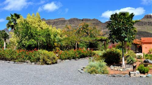 Finca Las Olivas