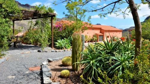 Finca Las Olivas