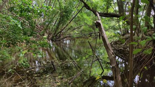 Apartamento Le Petit Macabou Lodges : Les Pieds Dans L'eau