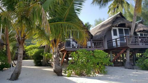 Hotel Paradise Cove Lodge