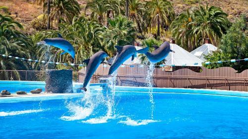 Apartamento Family House Maspalomas II