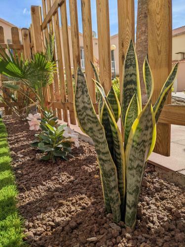 Apartamento Oceano Mare - Tu Casa En Maspalomas