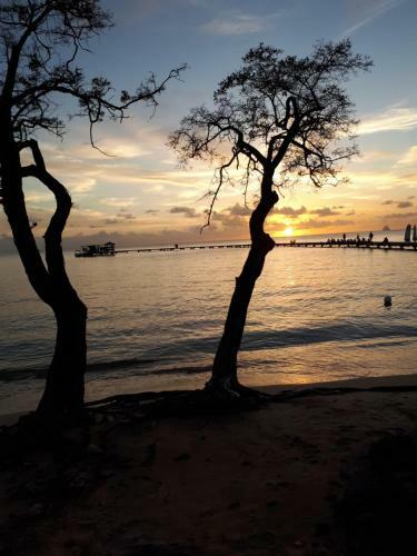 Apartamento Appartements Residence Mahoghany