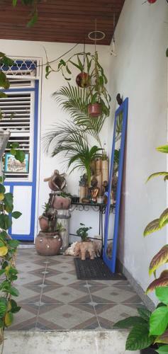 Bed & Breakfast Chambre D'h�te La Calebasse